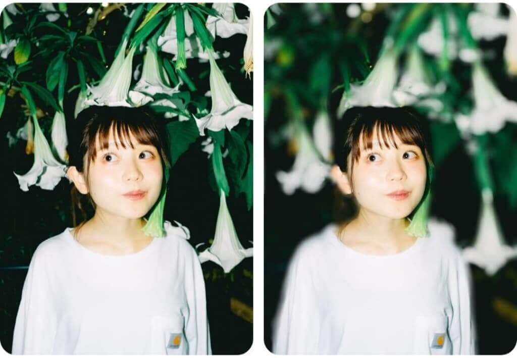 ぼかし加工の例