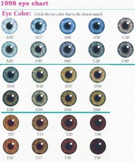 Übersicht der 1998 Eye Color Chart zur Augenfarb-Bestimmung mit 24 Farbcodes