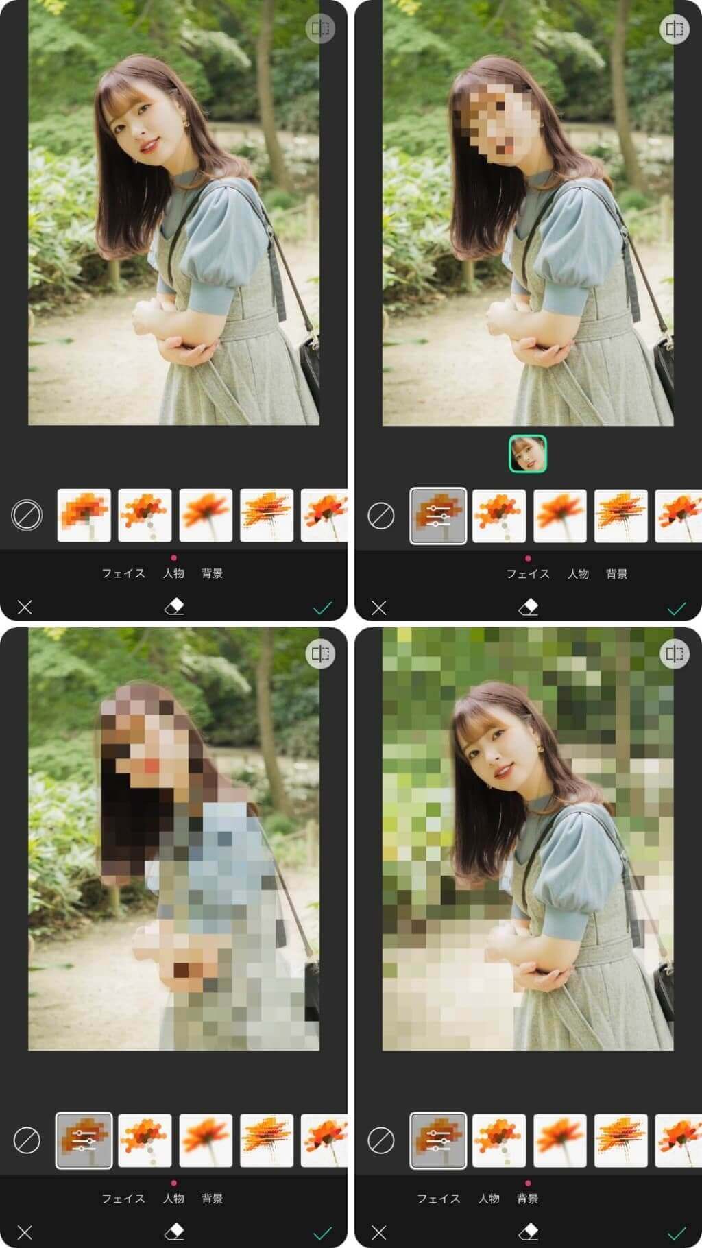 人全体や背景をモザイクにすることも可能