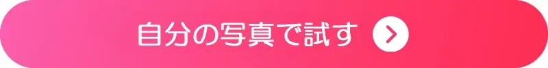 自分の写真で試す