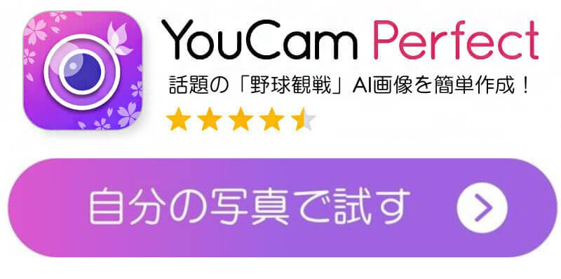 YCPダウンロードボタン YCPダウンロードボタン