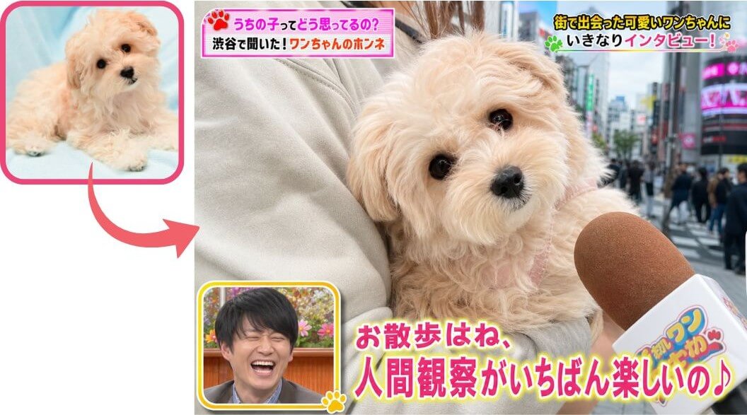 ペットがインタビュー ペットがインタビュー