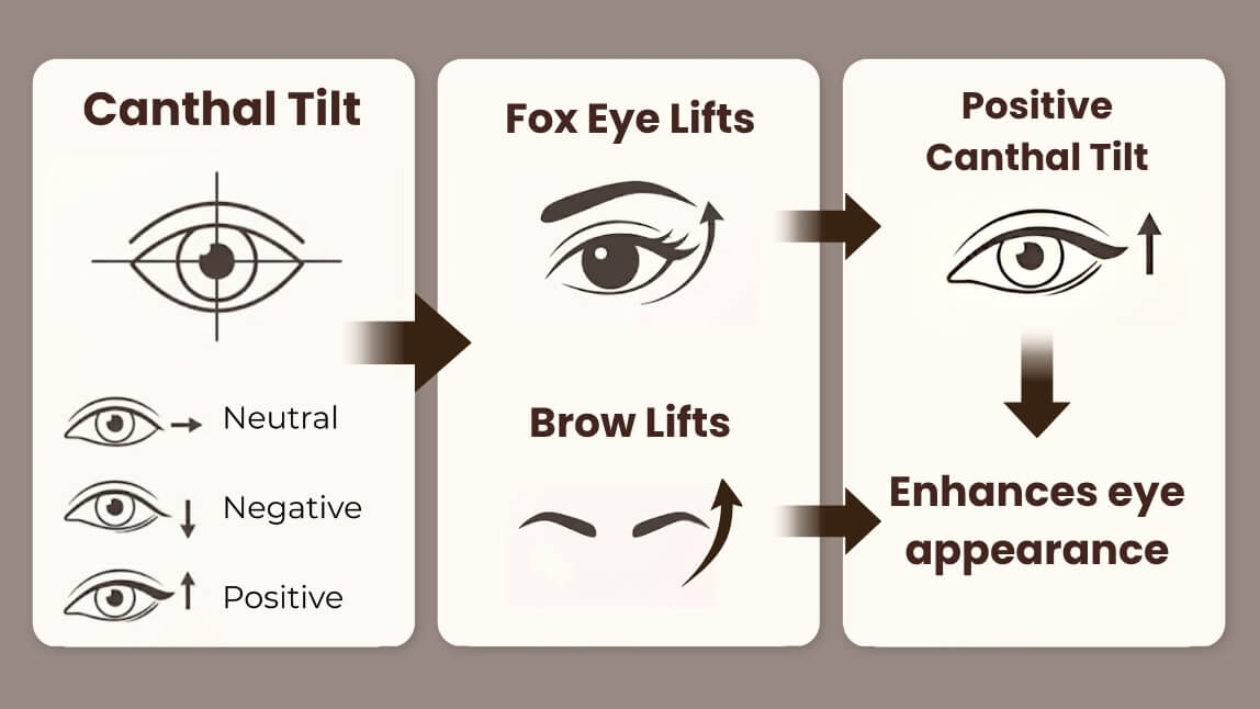 fox eye lifts, brow lifts fox eye lifts, brow lifts
