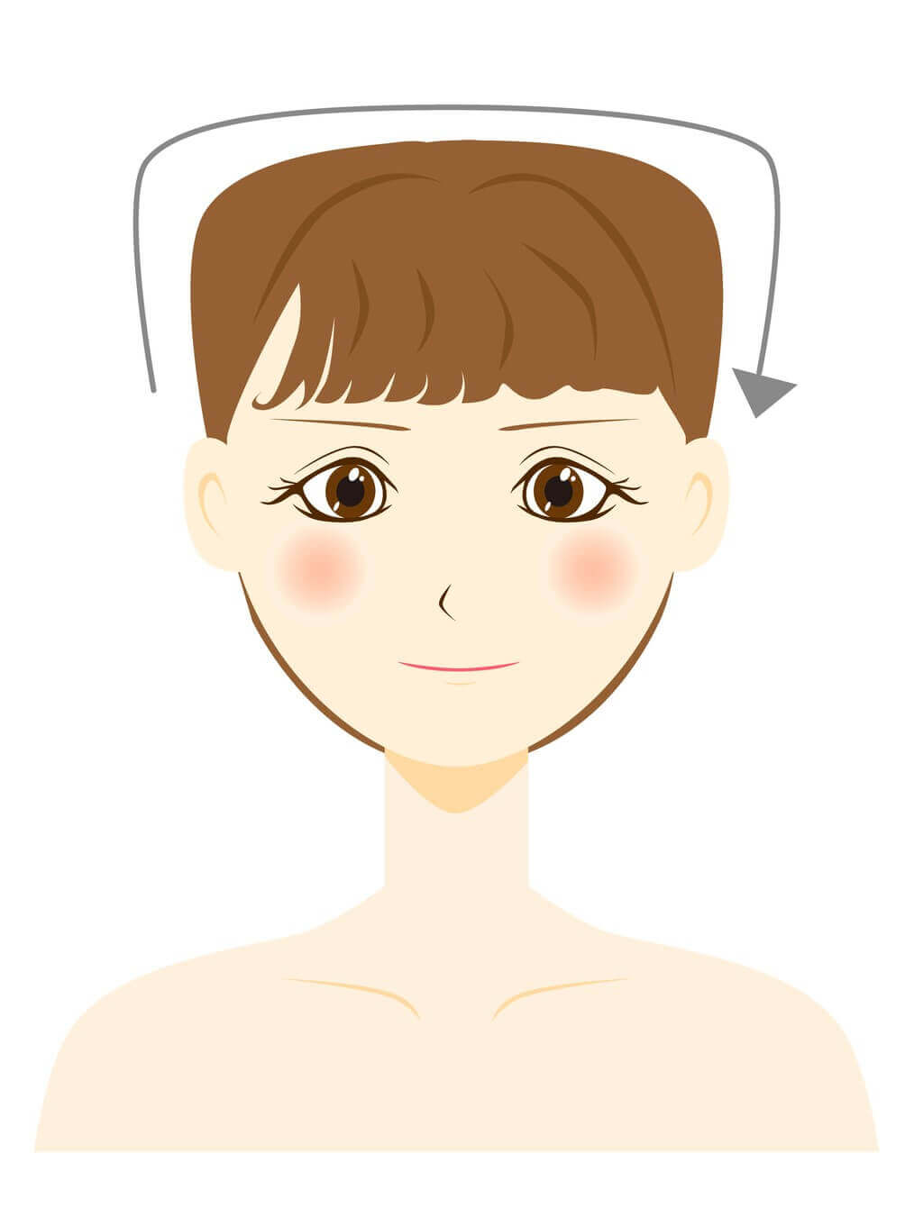 ハチ張り ハチ張り