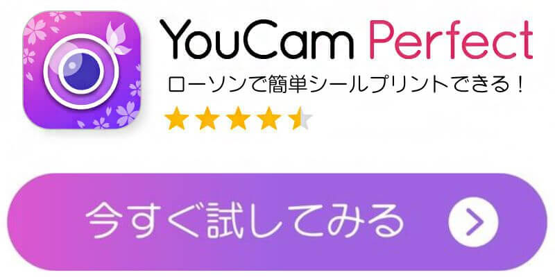 YCPダウンロードボタン YCPダウンロードボタン