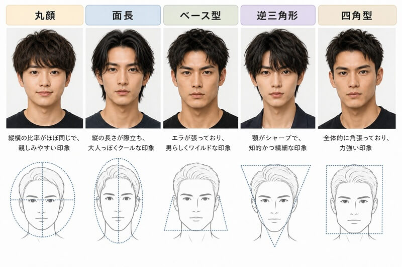 男性の顔型 男性の顔型
