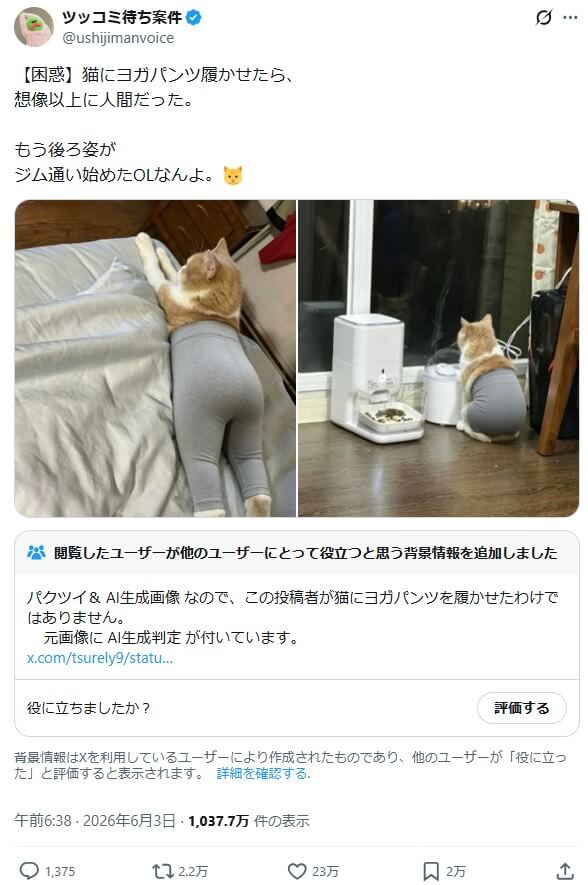 ヨガパンツを穿いた猫の元バズポスト