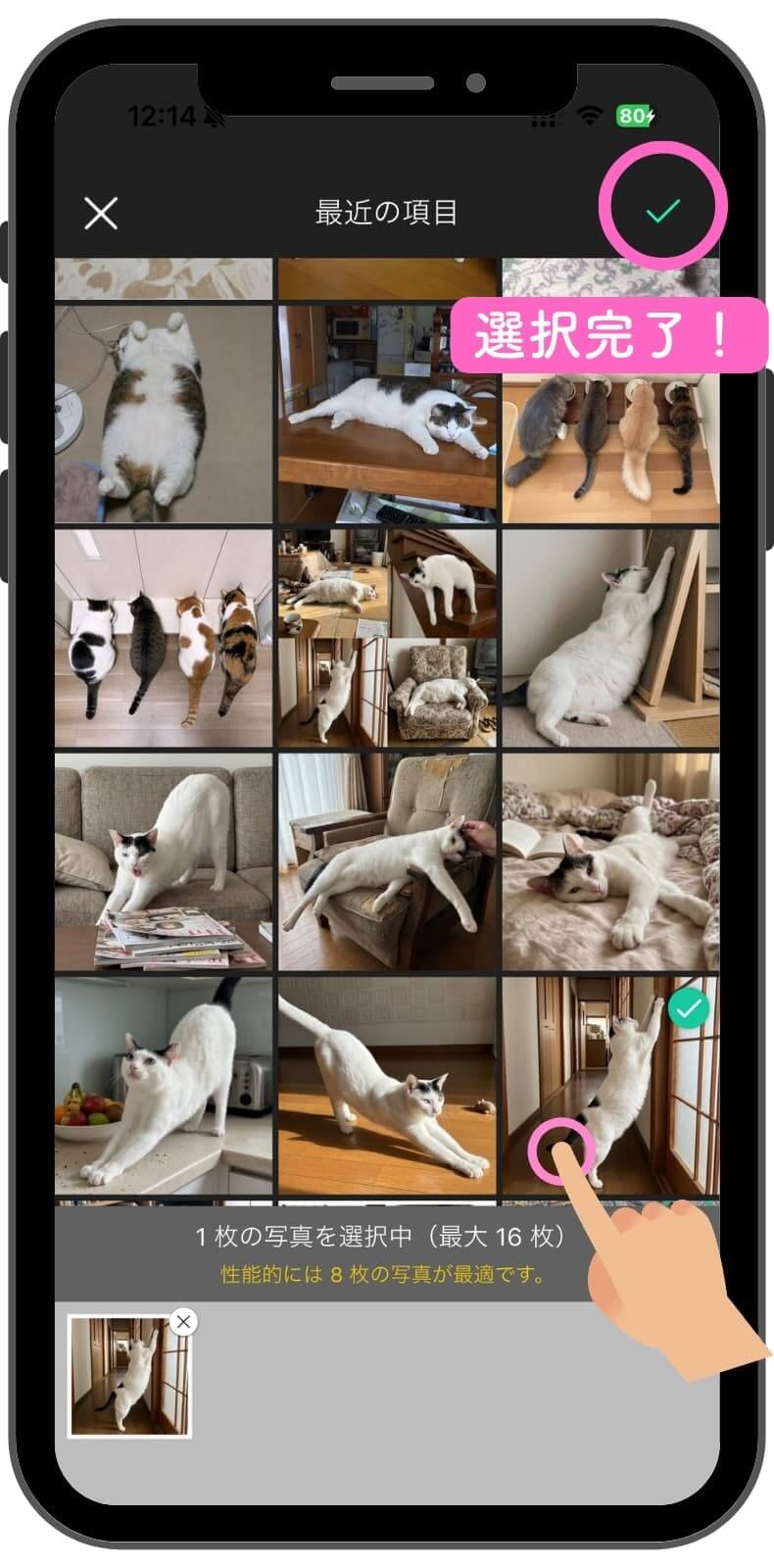ヨガパンツを着せたい猫の写真をアップロード