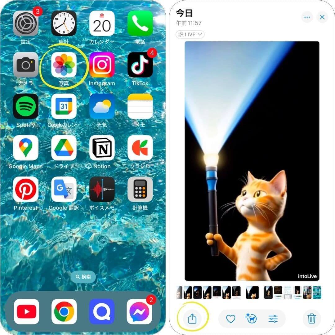 iPhoneの写真機能 iPhoneの写真機能