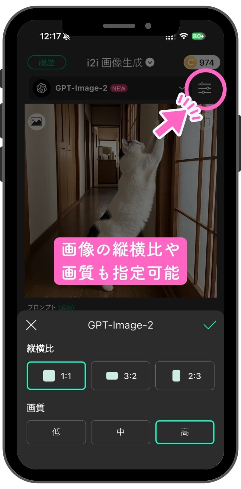 出力画像の設定も可能