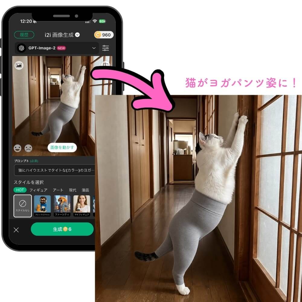 完成したヨガスパッツを履いた猫