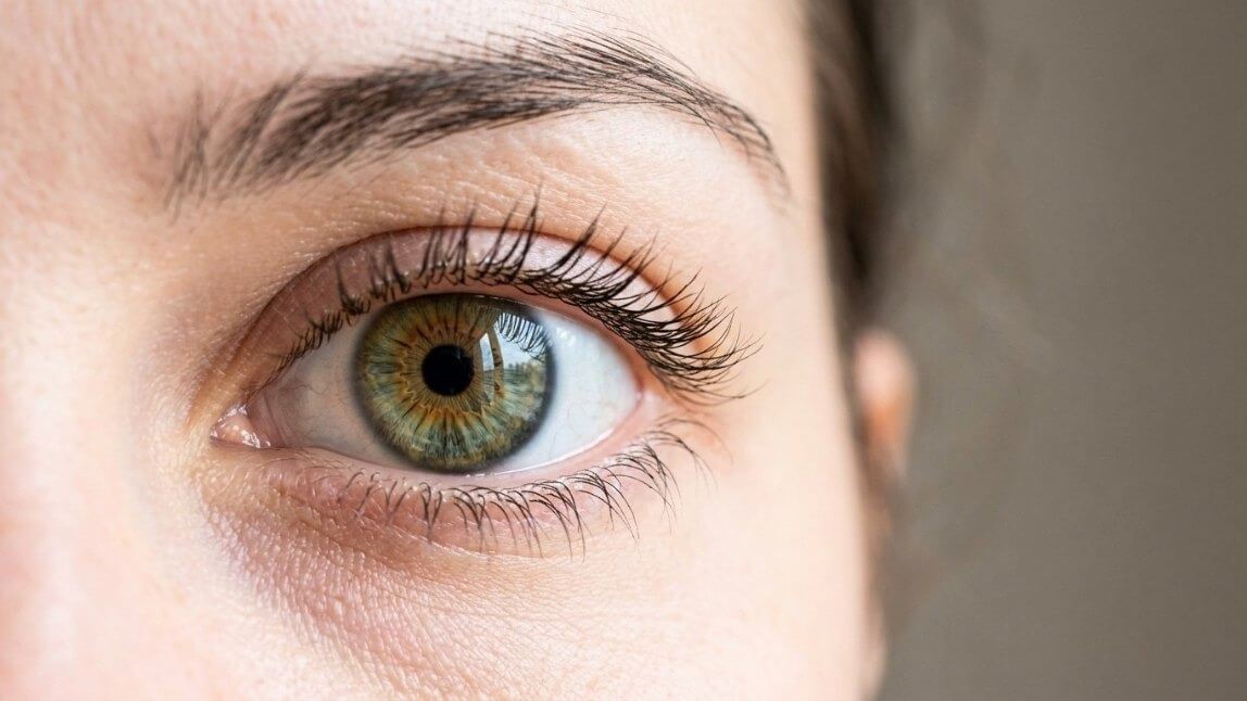 Detaillierte Nahaufnahme einer Iris zur Augenfarben-Analyse.