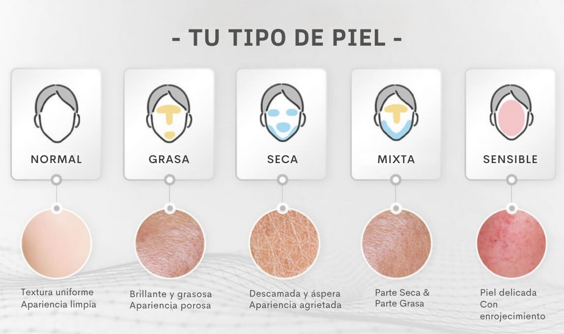 Infografía de tipos de piel y sus características 
