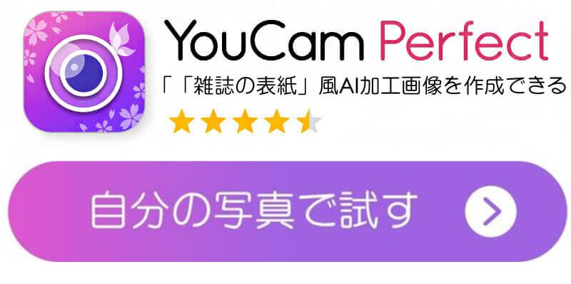 YCPダウンロードボタン YCPダウンロードボタン