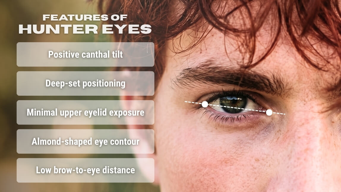 features of hunter eyes male hunter eyes' features