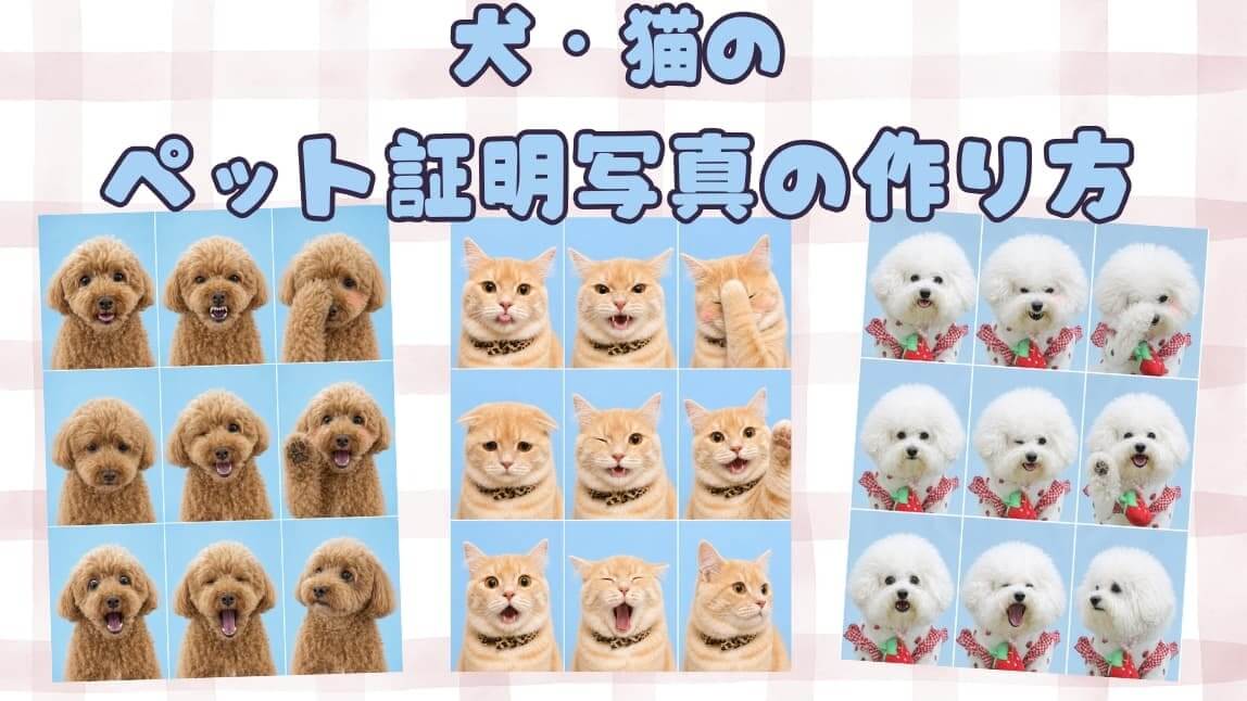 猫・犬の証明写真の作り方