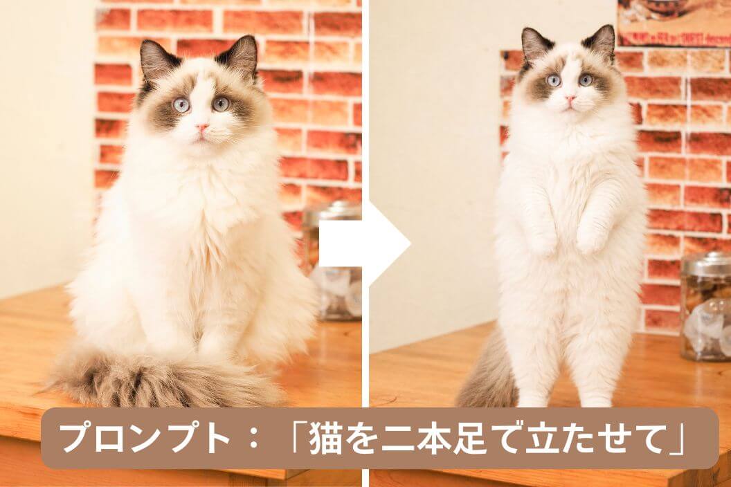 猫のポーズを変えたi2i画像 猫のポーズを変えたi2i画像