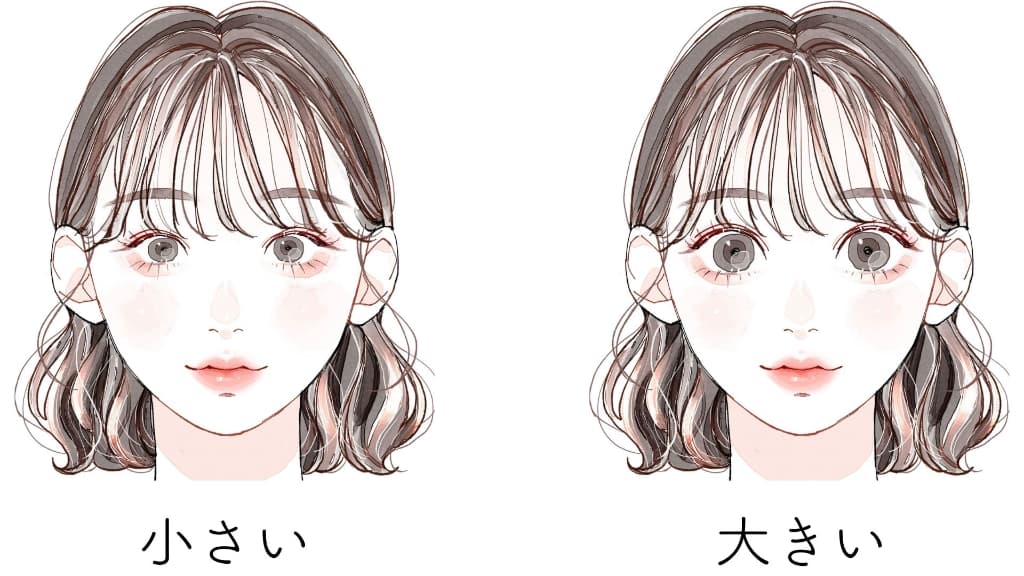 目の大きさは? 目の大きさは?