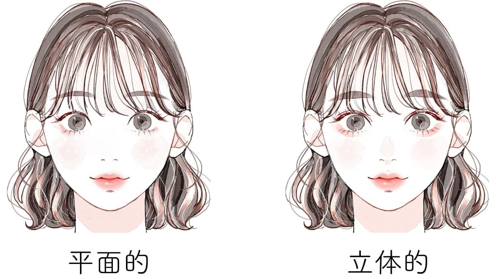 顔の立体感は? 顔の立体感は?