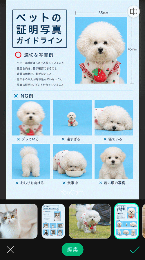 証明写真ガイドラインをアプリで作成