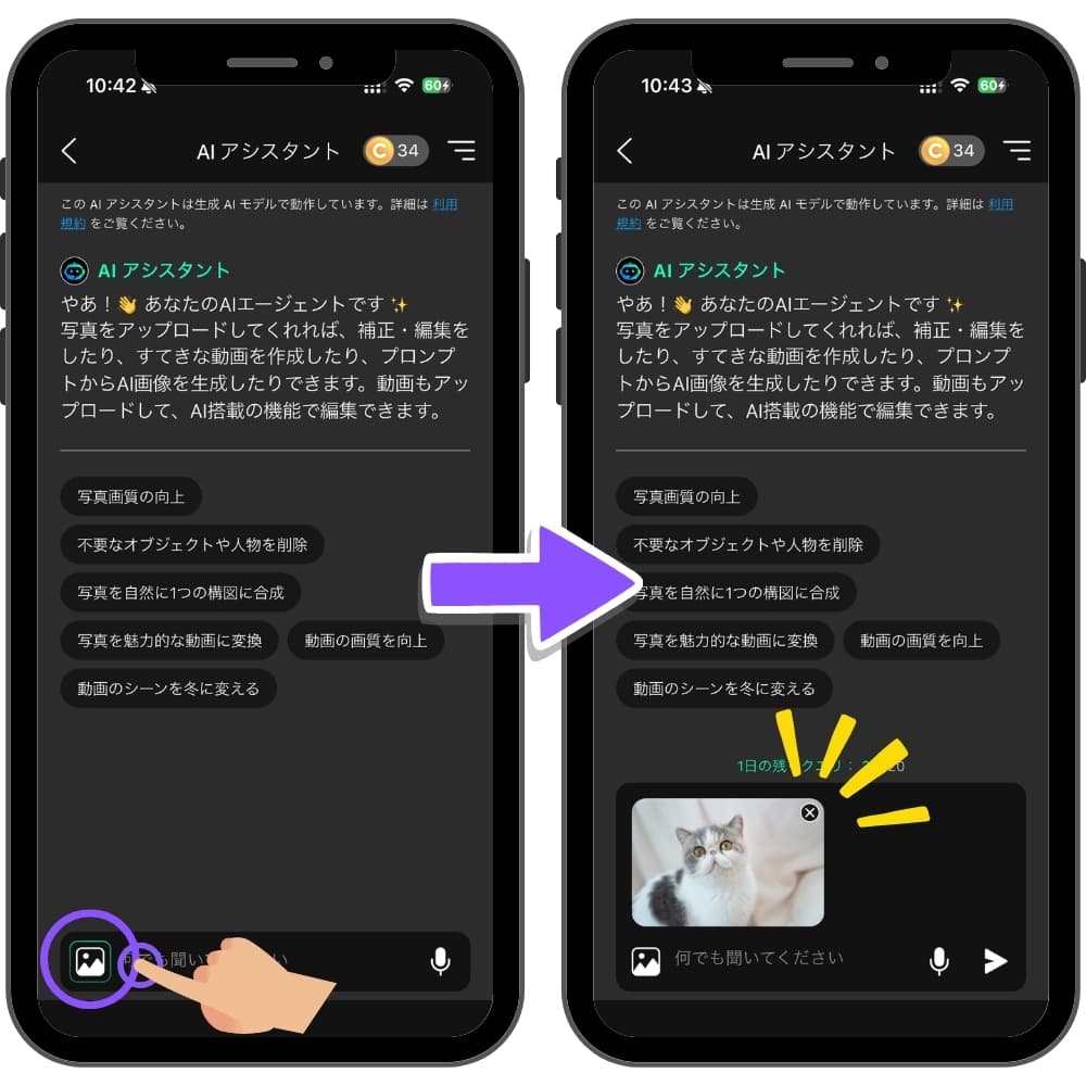 証明写真ガイドラインに使うペットの写真をアップロード 証明写真ガイドラインに使うペットの写真をアップロード