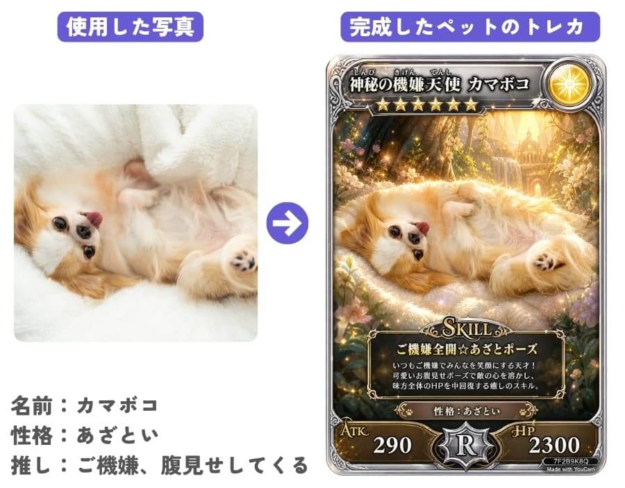 うちの子カマボコのペットカード うちの子カマボコのペットカード