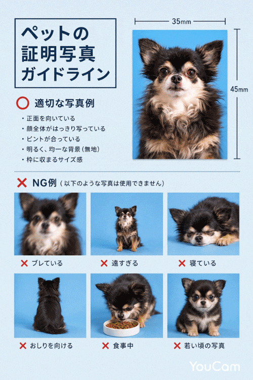 アプリで作ったペットの証明写真ガイドライン アプリで作ったペットの証明写真ガイドライン