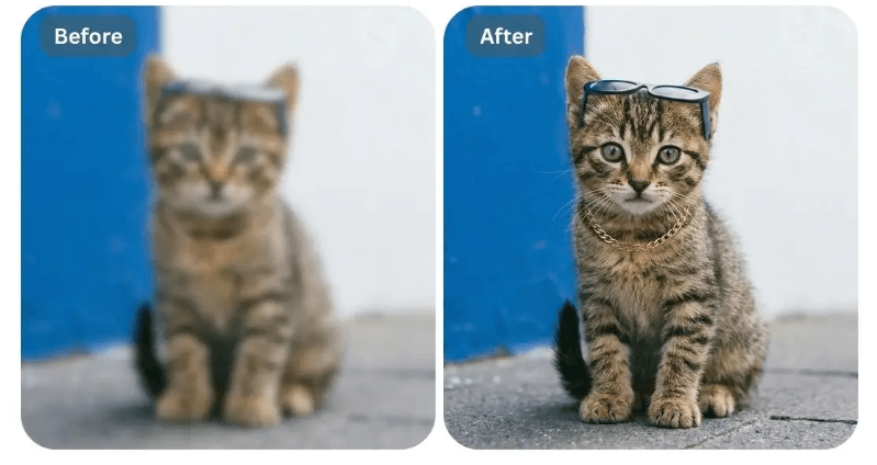 Application pour améliorer la qualité des photos en 2026 : chat flou puis amélioré avec l'IA
