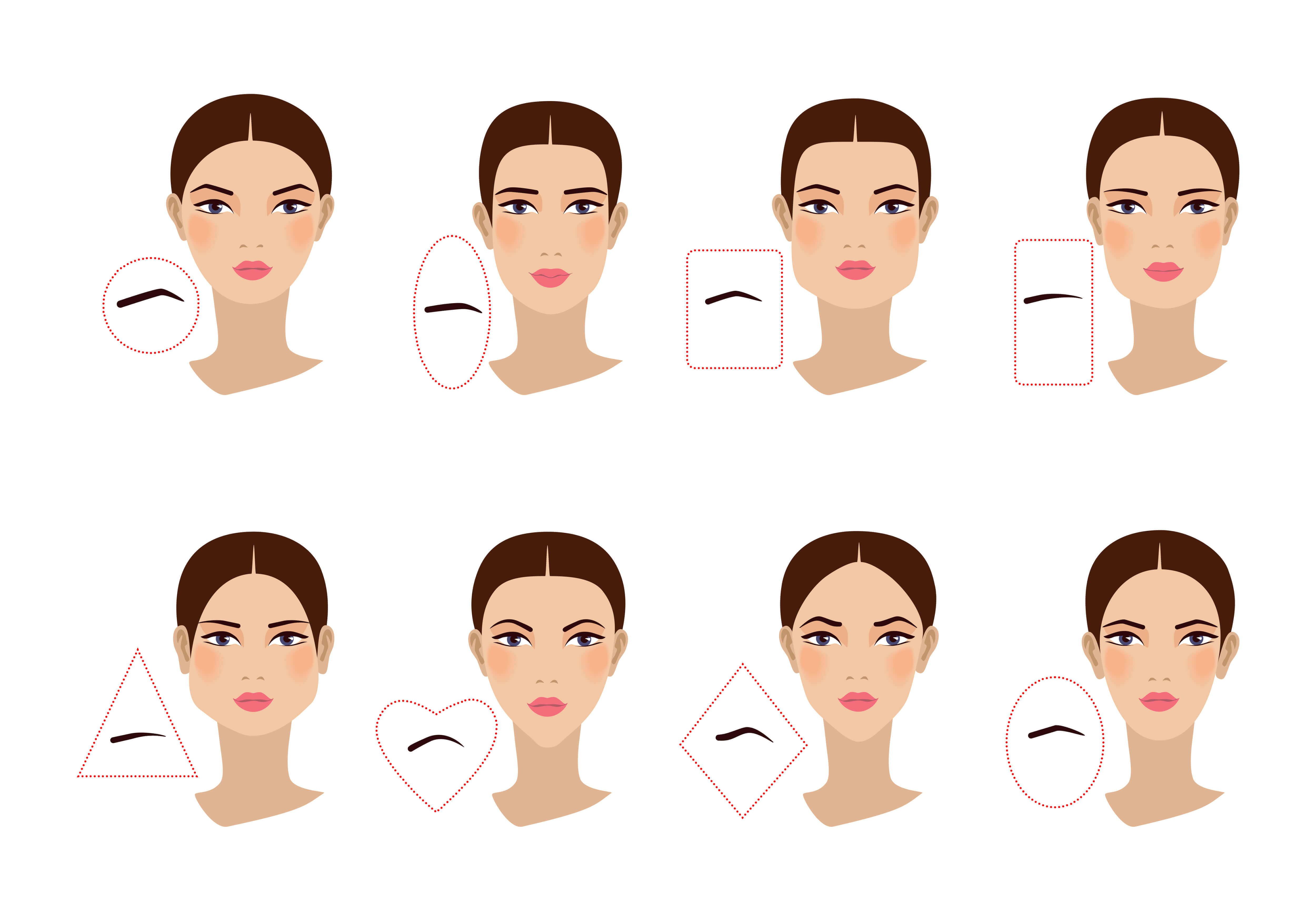 Tipos y formas de cejas Ejemplos de diferentes tipos y formas de cejas