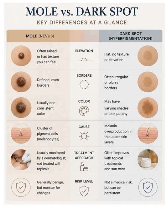 skin analysis online