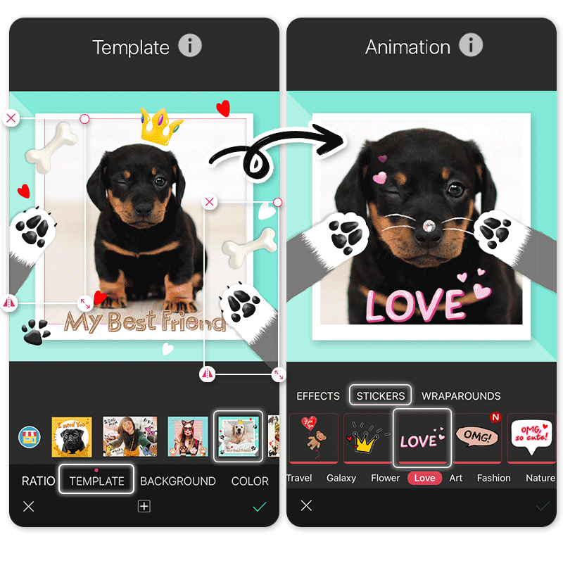 Personalisiere deine Hunde-Vorlage Personalisiere deine Hunde-Vorlage für das National Dog Day Foto