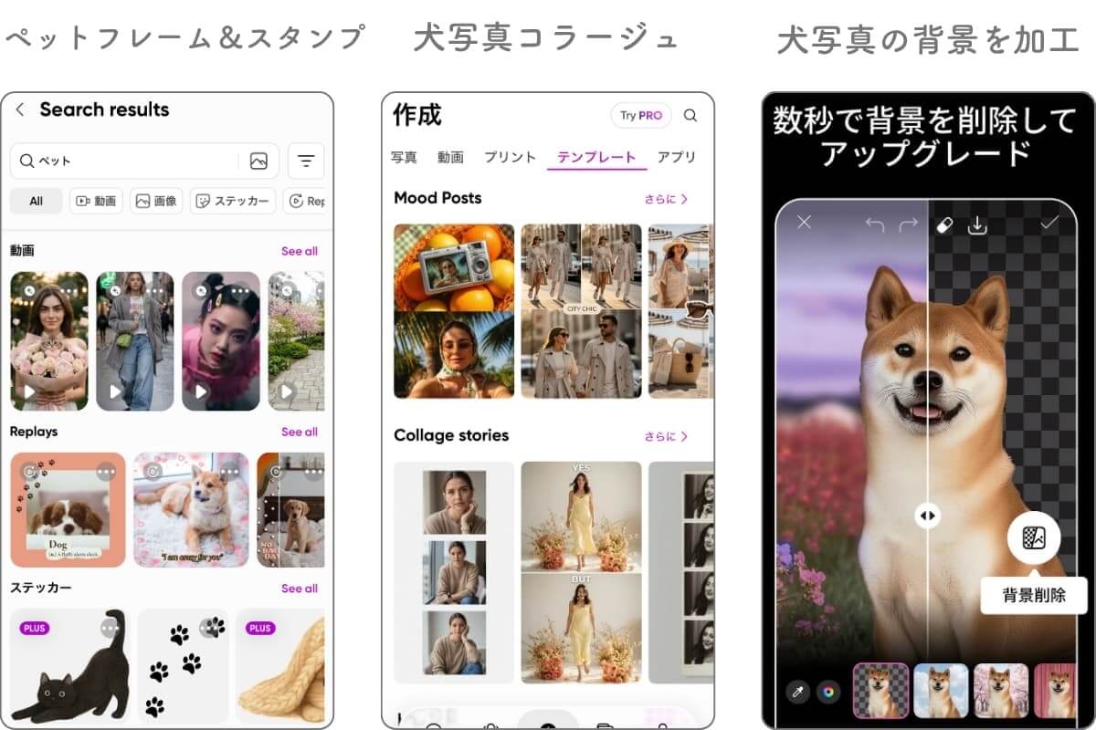 無料アプリPicsartでできる犬写真加工