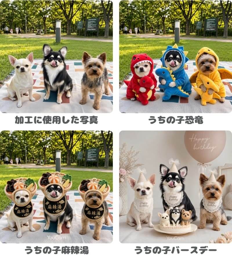 ユーカムアプリのAIテンプレートで加工した犬3匹の写真