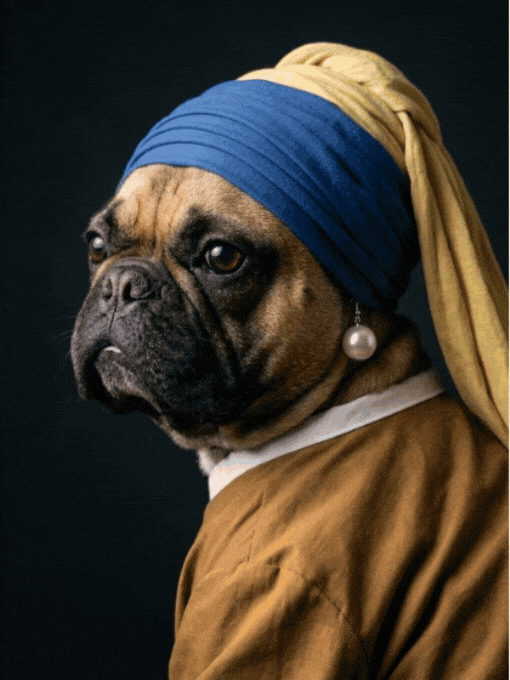 ユーカムアプリで加工した犬の写真