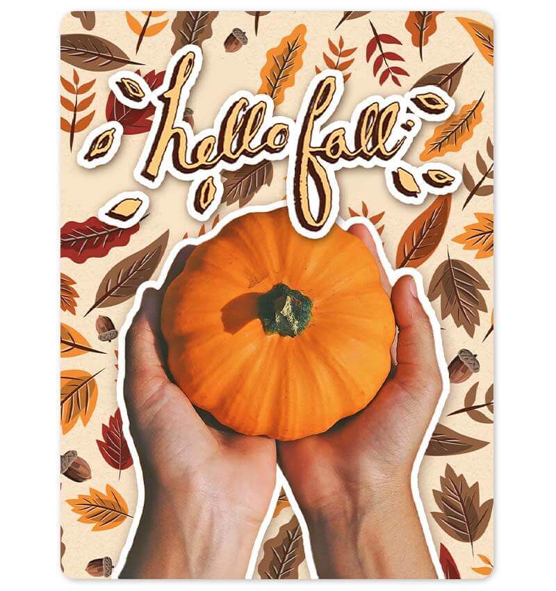 Ein Porträt vor einem hellen, cremefarbenen Hintergrund mit Herbstmustern.