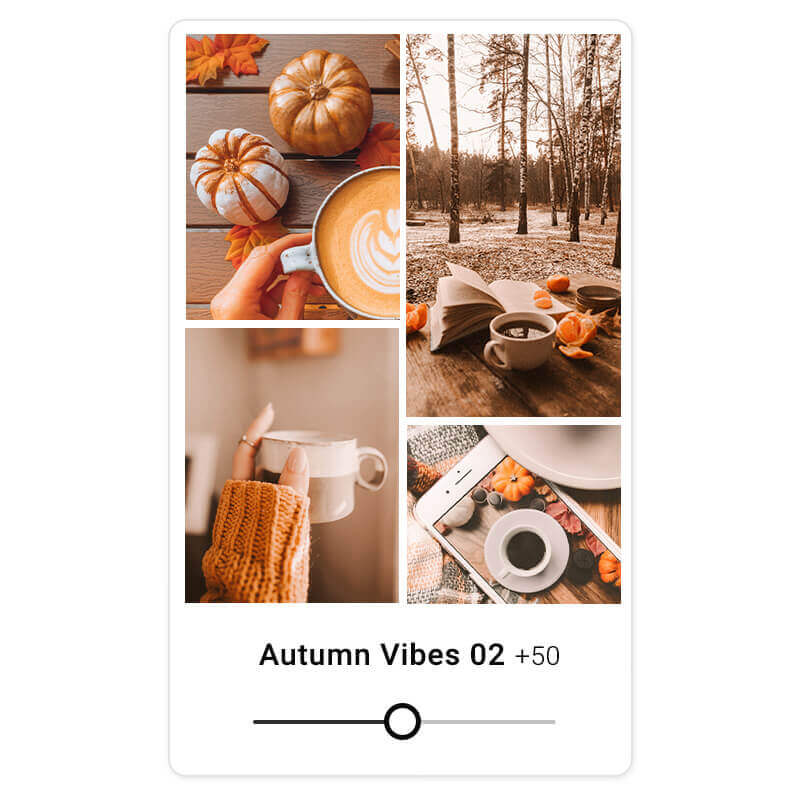 Ein Herbstbild vor und nach der Anwendung eines warmen Herbst-Filters.
