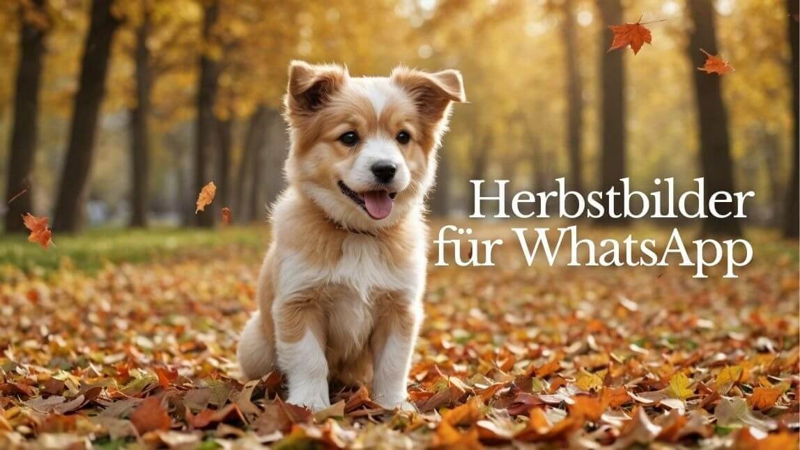 Titelbild für den Artikel über Herbstbilder für WhatsApp: Ein fröhlicher Welpe sitzt in einem Meer aus buntem Herbstlaub in einem sonnigen Park.