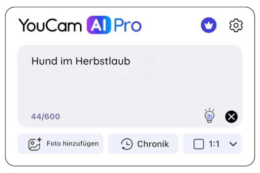 Text-Prompt in YouCam AI Pro eingeben Textaufforderung für ein Herbstbild in die App eingeben