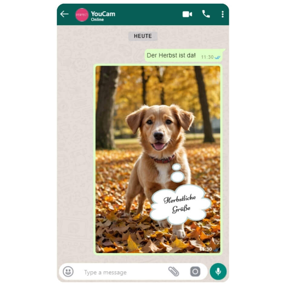 Das fertige Herbstbild mit Gruß wird über WhatsApp verschickt.
