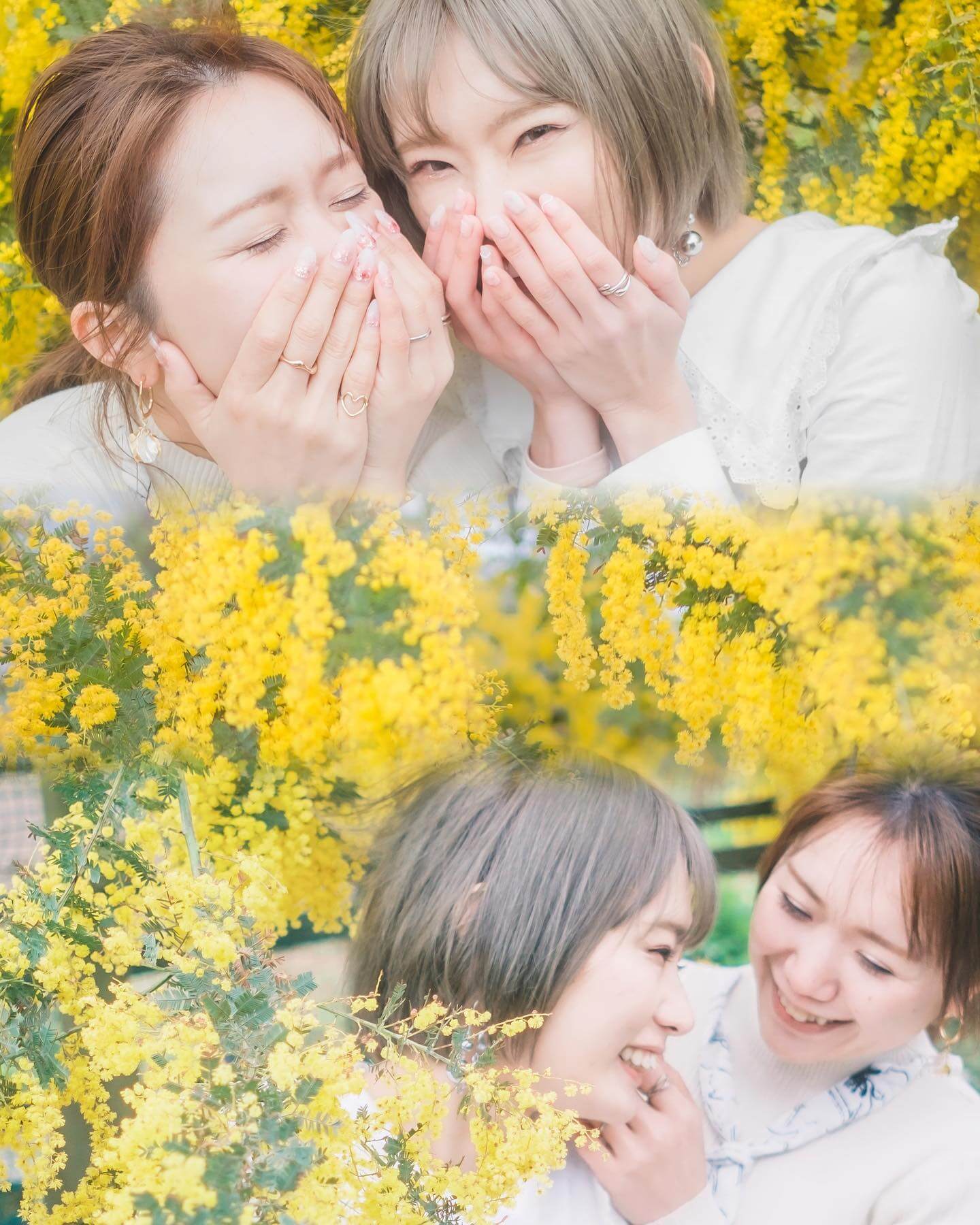 インスタグラムからの引用シームレスコラージュ インスタグラムからの引用シームレスコラージュ