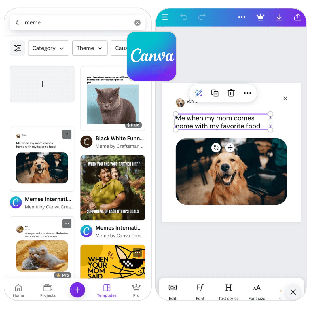 Meme Maker: Canva