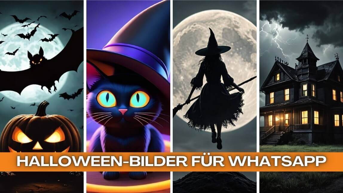 Bilder für WhatsApp mit Fledermäusen, schwarzer Katze, Hexe, Geisterschloss und Kürbissen zu Halloween.