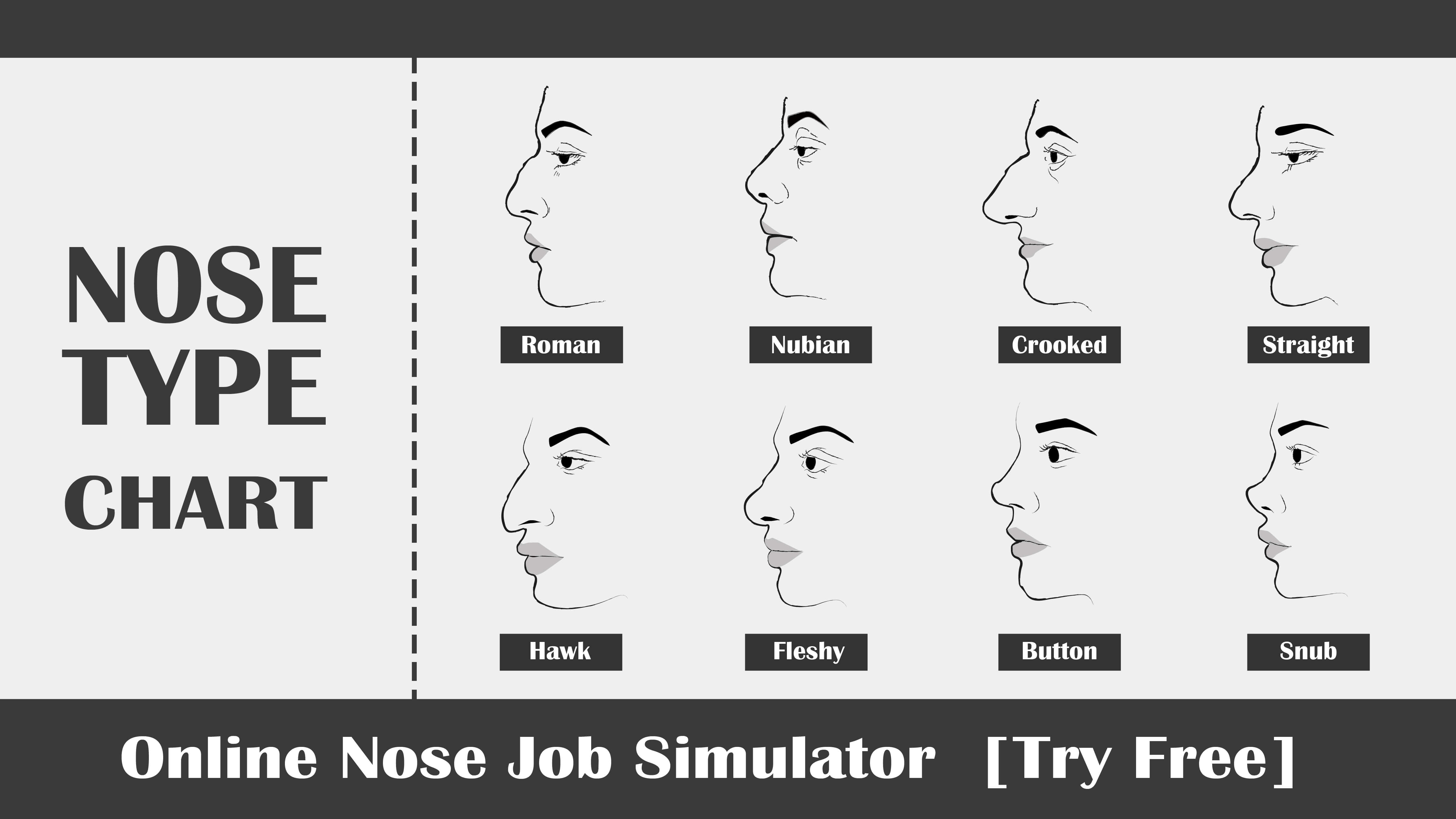 Common Nose Type_roman_straight_nubian_crooked_hawk_fleshy_button_snub_