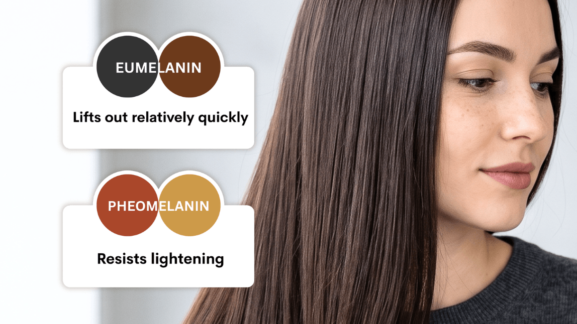 Virtual hair color applied to textured curly hair