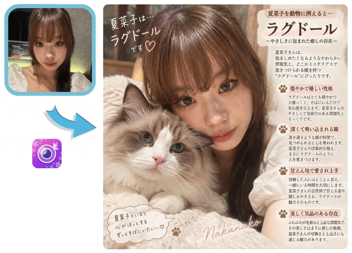 チャッピー動物診断をやってみた画像