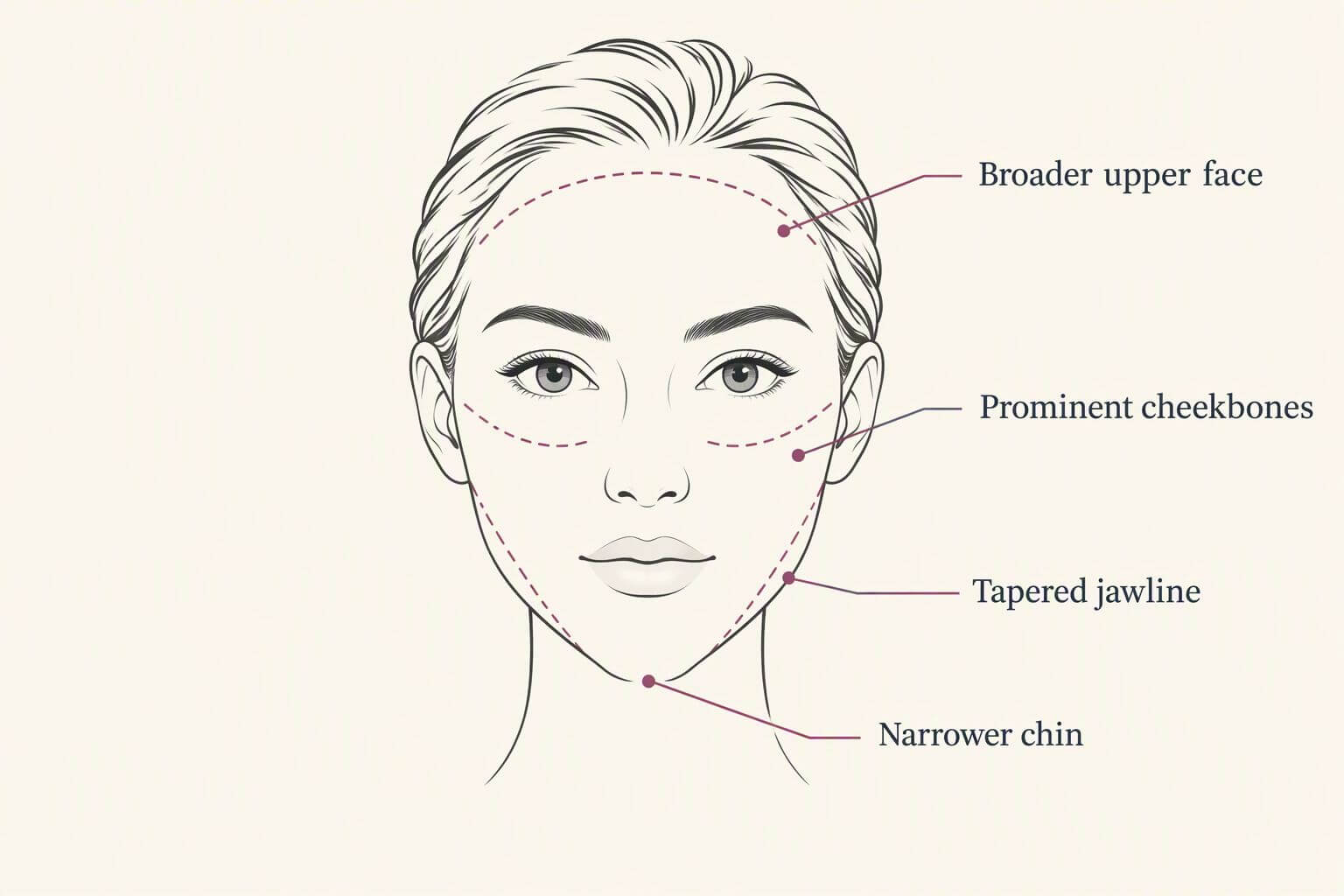 Heart Face Shape Features Line illustration of a heart face shape showing a broad forehead, prominent cheekbones, tapered jawline, and pointed chin