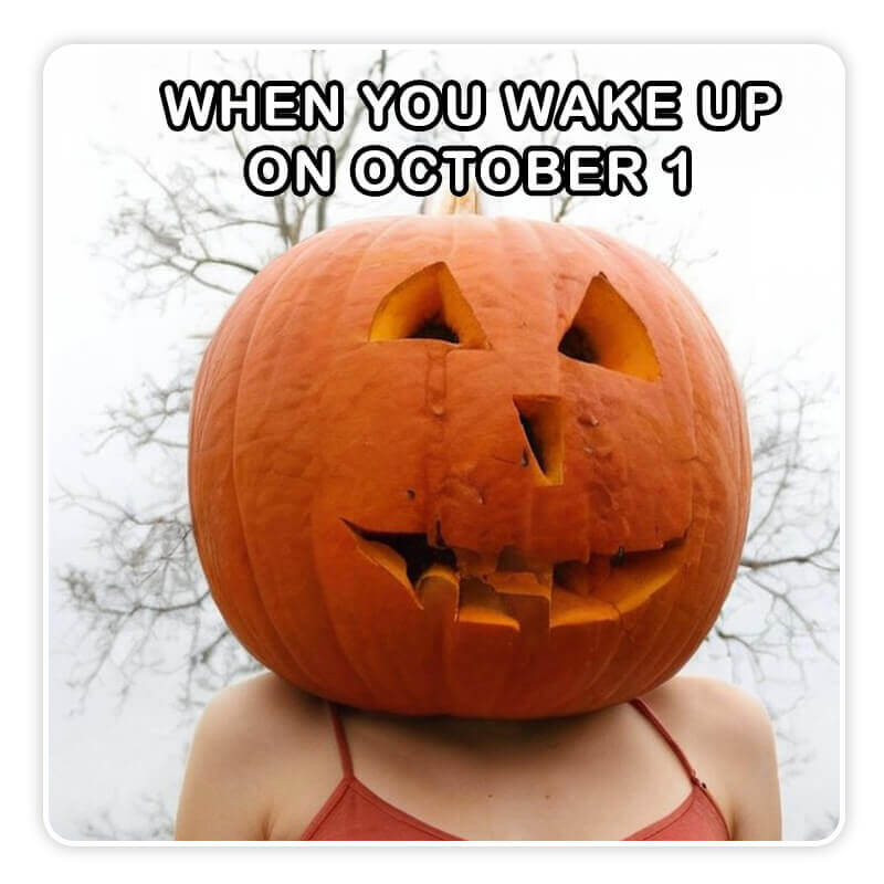 Halloween memes Rób halloweenowe memy z YouCam AI Pro