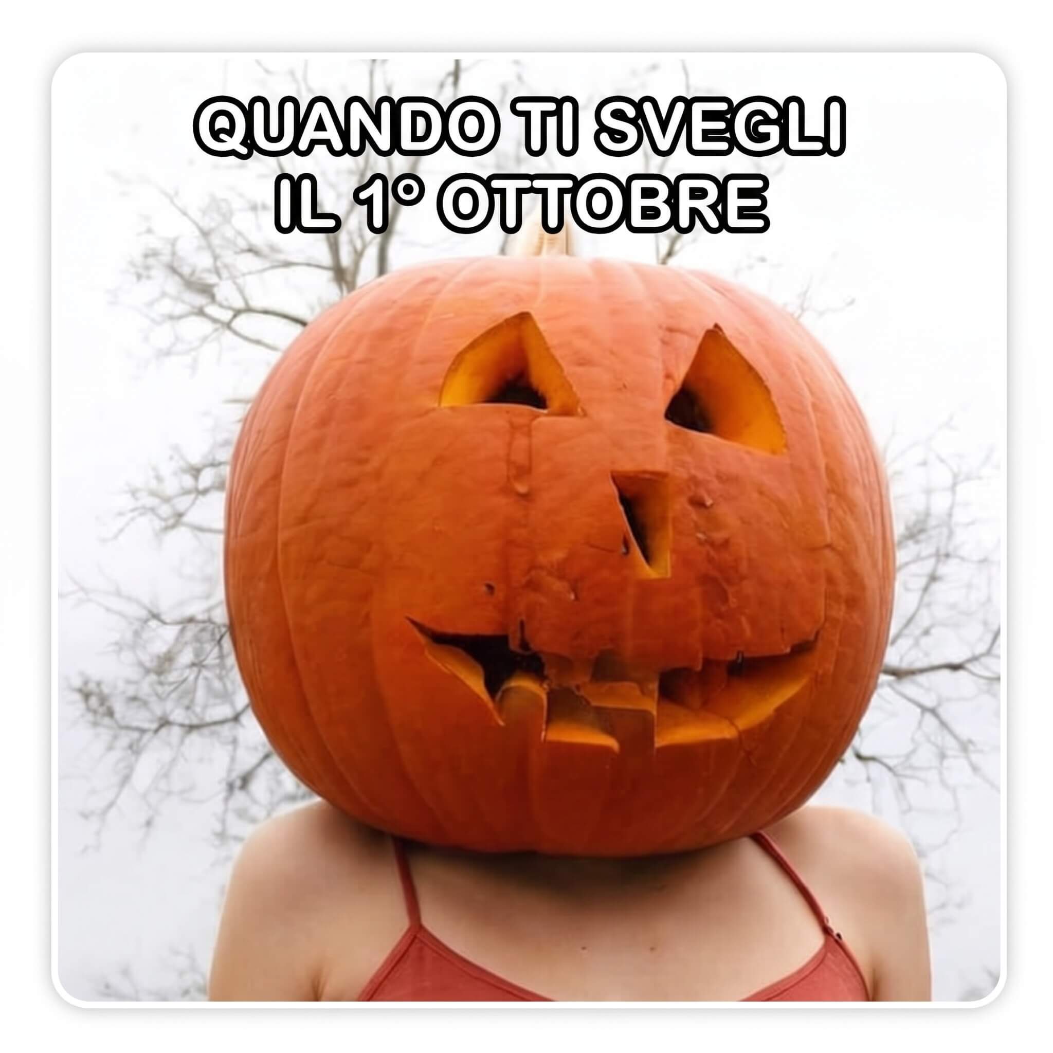 Meme Di Halloween Buon Halloween 2026: Immagini di Halloween e Meme Divertenti