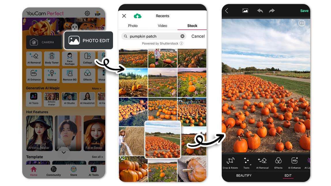 Edit Pumpkin Patch Pics Edit Pumpkin Patch Pics: Pumpkin Background
