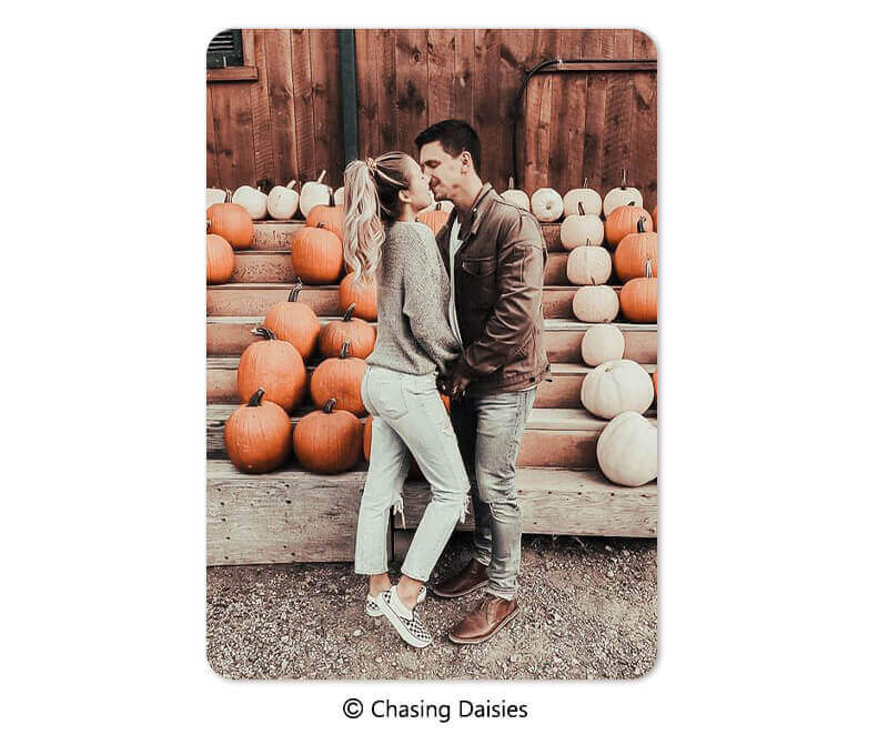 Pumpkin Patch Photo Idea Pumpkin Patch Photo Idea: Pumpkin Background